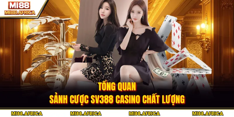 Tổng quan sảnh cược SV388 casino chất lượng