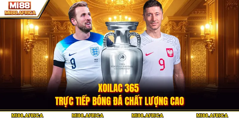 Xoilac 365 - Trực Tiếp Bóng Đá Chất Lượng Cao
